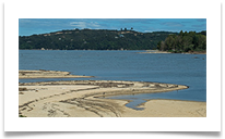 Sandy Bay-Abel Tasman National Park digital - Richard Nicholls